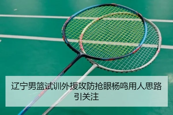辽宁男篮试训外援攻防抢眼杨鸣用人思路引关注